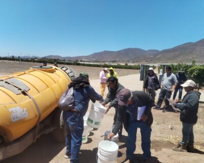 Curso Manejo y uso de Plaguicidas Agrícolas
